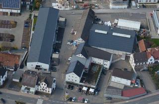 Büro zu mieten in Eisenbahnstraße 14/1, 74821 Mosbach, Erdgeschossige Räume nach Ihren Wünschen