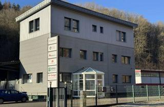 Büro zu mieten in Zeppelinstraße 144, 66953 Stadtmitte, Exklusive Büroetage mit Waldblick – Konferenzraum & Arbeitszimmer inklusive!