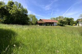 Immobilie kaufen in 83549 Eiselfing, Großes sanierungsbedürftiges Anwesen mit 7019 m² Grundstücksfläche