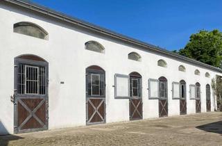 Immobilie kaufen in 40668 Meerbusch, Profitieren Sie von dieser vielseitigen Reitanlage in bester Lage für Sport und Medizin!