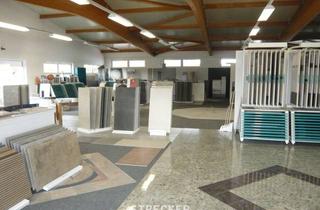 Gewerbeimmobilie mieten in 76706 Dettenheim, Ausstellung, Verwaltung und Lagerhalle in Sichtlage nördlich von Karlsruhe