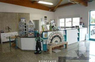 Gewerbeimmobilie mieten in 76706 Dettenheim, Ausstellung, Verwaltung und Lagerhalle in Sichtlage nördlich von Karlsruhe