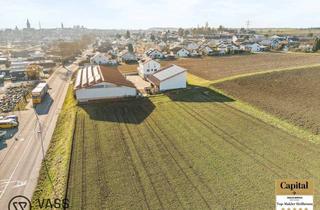 Gewerbeimmobilie kaufen in 75031 Eppingen, Gewerbegrundstück in Eppingen mit Potential