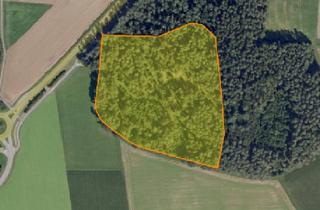 Gewerbeimmobilie kaufen in 91602 Dürrwangen, Waldfläche Nähe Dürrwangen, Gemarkung Haslach