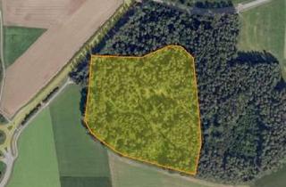 Gewerbeimmobilie kaufen in 91602 Dürrwangen, Waldfläche Nähe Dürrwangen, Gemarkung Haslach