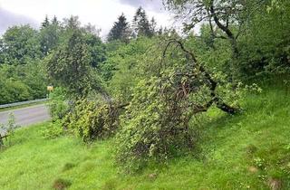 Gewerbeimmobilie kaufen in 92539 Schönsee, Günstiges Grundstück für Bauträger