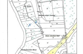 Gewerbeimmobilie kaufen in 23923 Lüdersdorf, RESERVIERT/ 2,4275 ha Wald (2 Flurst. nebeneinander) an der Wakenitz-Im Quast- /im Naturschutzgebiet
