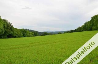 Gewerbeimmobilie kaufen in Forststraße, 16775 Großwoltersdorf, Schnäpchen aus Insolvenz: Grünland in Brandenburg