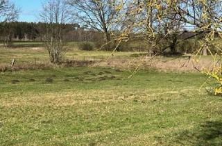 Gewerbeimmobilie kaufen in Am Dorfe, 19372 Spornitz, 1.356 m² Grünland in Mecklenburg-Vorpommern