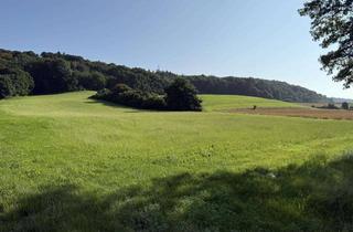 Gewerbeimmobilie kaufen in 86441 Zusmarshausen, Wertvolles Land in bester Lage – Grünlandfläche in Zusmarshausen