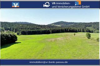 Gewerbeimmobilie kaufen in 94146 Hinterschmiding, Ein Stück Natur mit vielseitigenNutzungsmöglichkeiten - Landwirtschaftliches Grundstück in94146