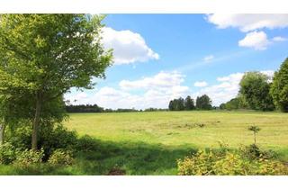 Gewerbeimmobilie kaufen in 26188 Edewecht, Ca. 5 ha Grünland mit kleinem Gehölz-Anteil in Edewecht-Jeddeloh I / "Mittelweg"