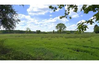 Gewerbeimmobilie kaufen in 26188 Edewecht, Ca. 1,5 ha Grünlandfläche in Edewecht-Jeddeloh I (Tütjenbarg / "Wildenlohs Moor")