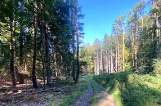Gewerbeimmobilie kaufen in 93080 Pentling, Gute gelegene Waldflächen bei Matting/Regensburg
