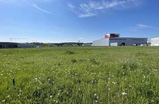 Gewerbeimmobilie kaufen in 56288 Roth, Gewerbegrundstück in hervorragender Lage