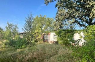 Grundstück zu kaufen in Kleines Feld, 06917 Jessen, Mehr als ein Freizeitgrundstück – Ihr Rückzugsort am Stadtrand von Jessen