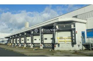 Gewerbeimmobilie mieten in 09337 Hohenstein-Ernstthal, Attraktive Lager- und Logistikflächen mit Krananlagen und ebenerdigen Toren!