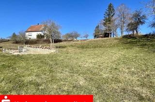 Grundstück zu kaufen in 93346 Ihrlerstein, Traumgrundstück in Ihrlerstein