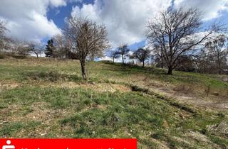 Grundstück zu kaufen in 93346 Ihrlerstein, Südhang-Grundstück in Ihrlerstein - Ruhe, Sonne, Ausblick!
