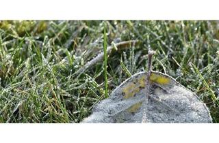 Grundstück zu kaufen in 36266 Heringen, Heringen / Werra - Grundstück zu verkaufen