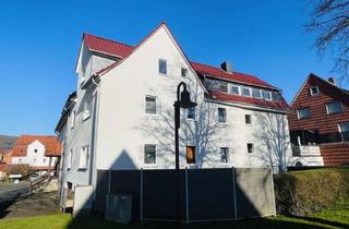 Haus kaufen in 34359 Reinhardshagen, Modernisiertes 3-Familienhaus in zentraler Lage von Reinhardshagen-Veckerhagen