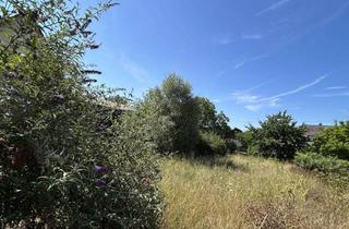 Haus kaufen in 79235 Vogtsburg, Exklusives und modernes Wohnen am sonnigen Kaiserstuhl
