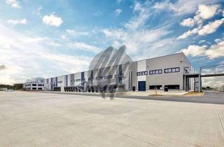 Büro zu mieten in 45964 Gladbeck, RAMPE + EBEN ✓ 24/7 ✓ Lager-/Logistik (15.000 m²) & Büro-/Sozial (1.000 m²)