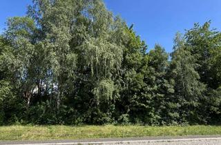 Grundstück zu kaufen in Oelsnitzer Straße, 09385 Lugau, Baugrundstück in guter Lage