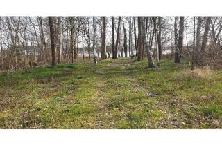 Grundstück zu kaufen in 14542 Werder (Havel), Wassergrundstück in Werder - Havel