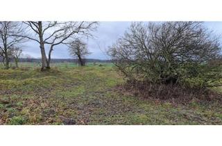 Grundstück zu kaufen in 18184 Thulendorf, Thulendorf - Ca 51400m2 Acker und Weideland nahe Rostock