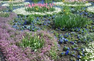 Villa kaufen in 36205 Sontra, Sontra - Landhaus mit dem gewissen Flair