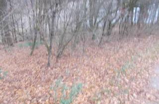 Grundstück zu kaufen in 58791 Werdohl, Werdohl - Baugrundstück in Werdohl sehr interessant für Investoren