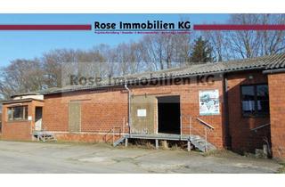 Gewerbeimmobilie kaufen in Am Bahnhof 14, 31606 Warmsen, ROSE IMMOBILIEN KG: Gewerbeimmobilie mit großem Grundstück in Warmsen zu verkaufen!