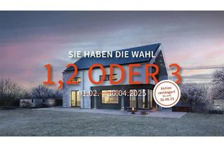 Einfamilienhaus kaufen in 04838 Zschepplin, EINFAMILIENHAUS MIT OFFENER ARCHITEKTUR