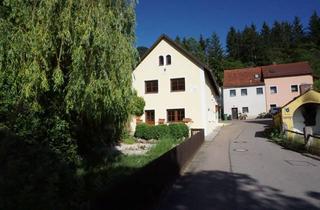 Haus mieten in 93182 Duggendorf, Historische Parkvilla an der Naab