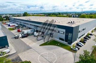 Büro zu mieten in 49124 Georgsmarienhütte, KEINE PROVISION ✓ NEUBAU ✓ Lager-/Logistik (19.000 m²) & Büro (600 m²)