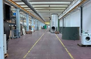 Gewerbeimmobilie mieten in Riegler Straße 14, 79364 Malterdingen, Große Industriehalle mit Krananlage