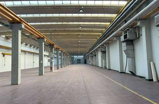 Gewerbeimmobilie mieten in Riegler Straße 14, 79364 Malterdingen, Große Halle mit Krananlage