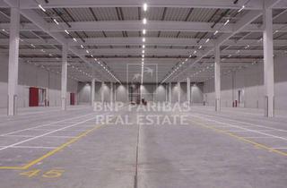 Gewerbeimmobilie mieten in 49597 Rieste, 8.000 - 27.000 m² moderne Logistikflächen
