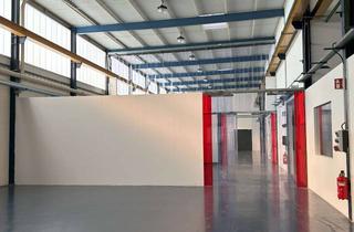 Büro zu mieten in Riegler Straße 14, 79364 Malterdingen, Attraktive Halle mit Büro und Krananlage