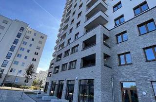 Wohnung mieten in Märkische Allee 312, 12687 Marzahn (Marzahn), Neubau-Wohnung in Marzahn, 3 Zimmer