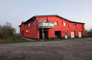 Haus kaufen in 24619 Tarbek, RESTHOFTRAUM MIT 3 MODERNEN WOHNUNGEN, HALLE UND OFFENSTALL IN GRÜNER ALLEINLAGE