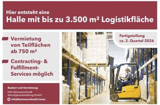 Gewerbeimmobilie mieten in Brehnaer Str. 12, 06188 Landsberg, Moderne Lagerhalle in Landsberg: Teilbar ab 750 m², Contracting möglich, bezugsfertig ab Q2/2026