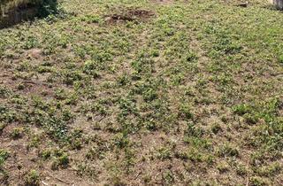 Grundstück zu kaufen in 76891 Bruchweiler-Bärenbach, Zentral gelegener Bauplatz zu verkaufen