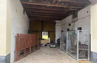 Einfamilienhaus kaufen in 01990 Großkmehlen, Bäuerliches Einfamilienhaus mit viel Platz