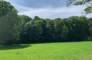 Gewerbeimmobilie kaufen in 01683 Nossen, Waldgrundstück bei Nossen