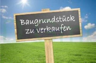 Grundstück zu kaufen in 27404 Gyhum, Baugrundstück ca. 2.600 m² mit direkt angrenzender Weide- und Waldfläche (ca. 5.800 m²)!
