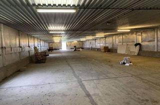 Gewerbeimmobilie mieten in 01665 Klipphausen, Großzügige Halle - ideal als Lagerfläche in Sora bei Klipphausen!