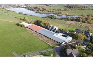 Gewerbeimmobilie mieten in 35759 Driedorf, Lagerhalle zu vermieten!! - Ortsteil Driedorf