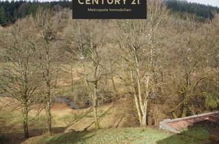 Grundstück zu kaufen in 64743 Beerfelden, Baugrundstück idyllisch am Bachlauf gelegen!